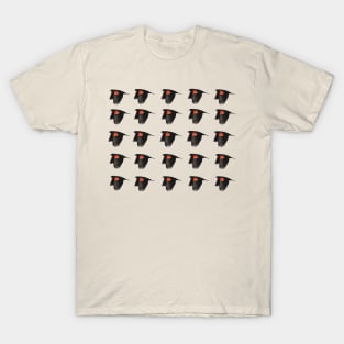 Redwings T-Shirt